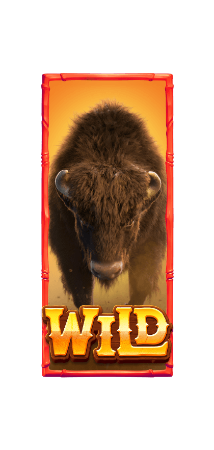 สัญลักษณ์ Wild buffalo win pg
