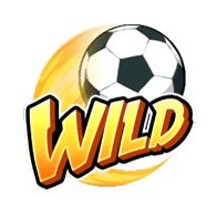 shaolin soccer wild symbol